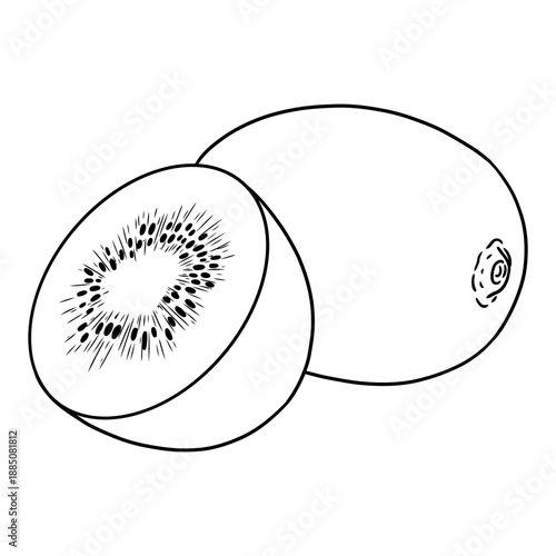 black lineart fruit in white background kiwi fruit