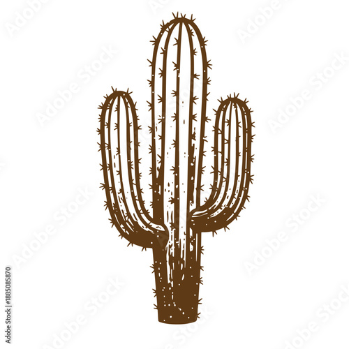 Drawing Vintage grunge  texture Brown cactus plant with three main stems and many spikes on white background