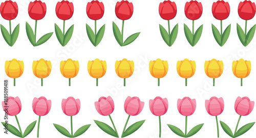 Tulip flower illustration set with red yellow and pink spring blooms for garden decoration, seasonal design, invitations, and flat vector graphics