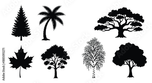 Tree silhouette set with palm pine and oak trees vector