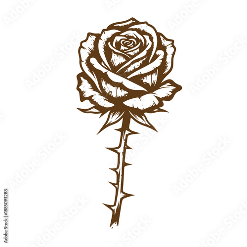 Drawing Vintage grunge  texture Brown rose with thorns on stem and leaves  flower illustration