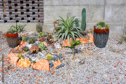 A dry xeriscape garden design in front of a modern concrete home in Okinawa, featuring cacti, aloe, agave and other succulent plants