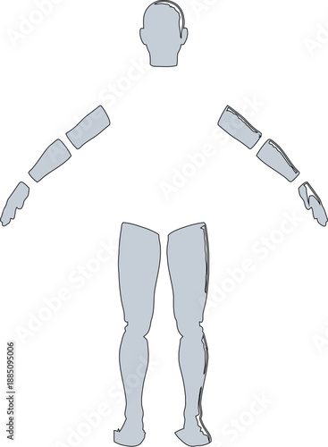Exploded view of a disassembled articulated male mannequin figure showing separate components including head arms hands torso and legs for assembly or customization purposes
