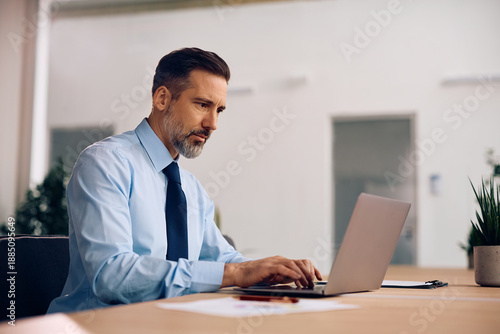 Mature businessman working on computer in office.