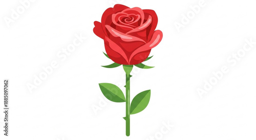 Vibrant red rose with green stem and leaves on white background symbolizing love and romance in a simple yet elegant floral illustration
