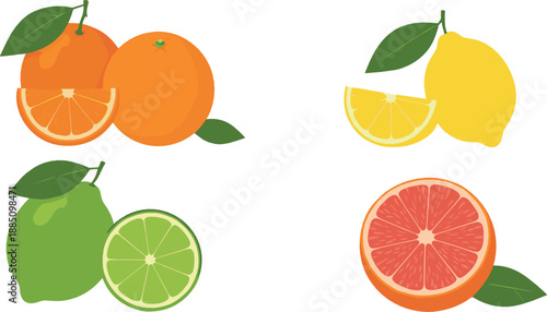 Citrus fruit illustration set with orange lemon lime and grapefruit slices for fresh food design, healthy nutrition graphics, and flat vector artwork