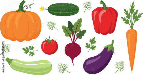 Fresh vegetable illustration set with pumpkin cucumber tomato beet eggplant carrot and herbs for healthy food design, cooking graphics, and flat vector art
