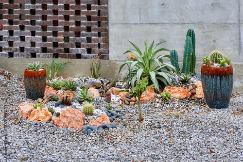 A dry xeriscape garden design in front of a modern concrete home in Okinawa, featuring cacti, aloe, agave and other succulent plants