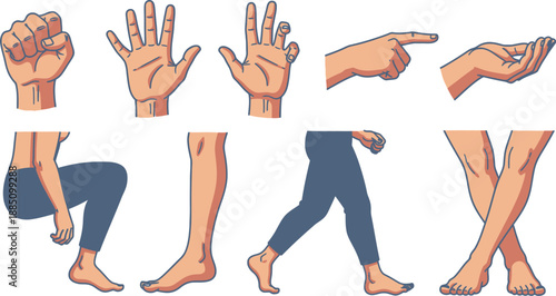 Collection of stylized human body parts including various hand gestures and lower body poses illustrating movement and positioning for design.
