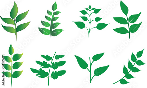 High quality macro illustration of vibrant green leaves with detailed veins isolated on a clean white background
