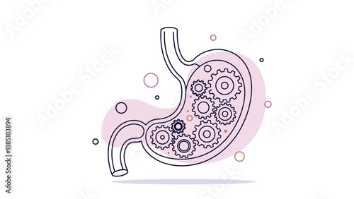 A conceptual line art illustration of a human stomach filled with interlocking gears and cogs, representing the process of digestion or metabolism.