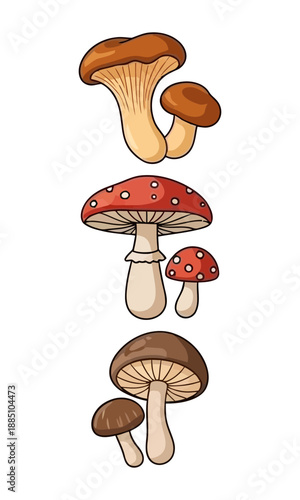 Mushroom vector, vector of mushroom collection, silhouette of mushroom