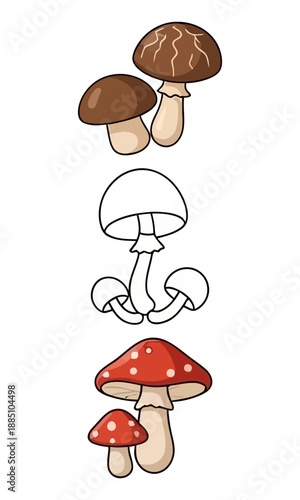Mushroom vector, vector of mushroom collection, silhouette of mushroom
