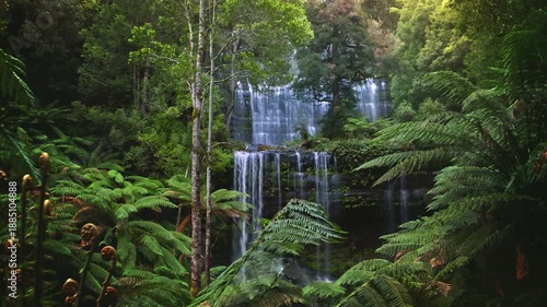 Australia wilderness. Tasmania rainforest waterfall scenery landscape