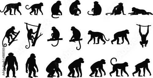 Monkey silhouette collection, various poses, climbing, sitting, walking, hanging, crouching, animal behavior, black shape, cad drawing flat vector illustration