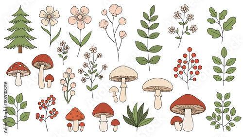 A collection of hand-drawn forest elements including mushrooms, flowers, berries, leaves, and a pine tree for botanical designs.