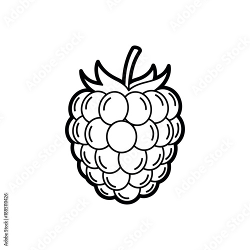 vector illustration of a raspberry fruit