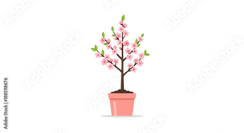 Delicate Small Blooming Tree with Pink Flowers in a Simple Pot on a White Background Representing Growth and Spring Season