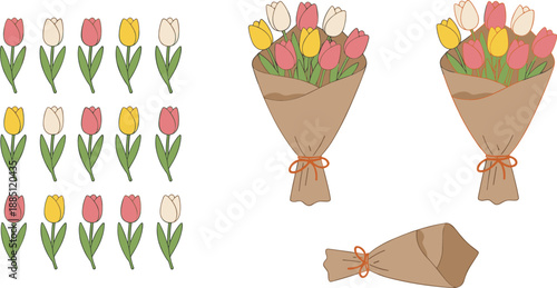Tulip flowers and bouquet collection set spring floral arrangements flat vector illustration isolated on white background