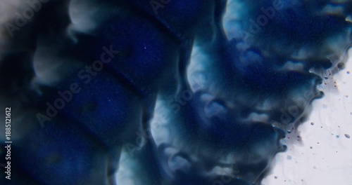 Ink splatter blur. Art fluid. Blue drop mixing with gray fluid on white background. Kaleidoscopic abstract color flow optical effect.