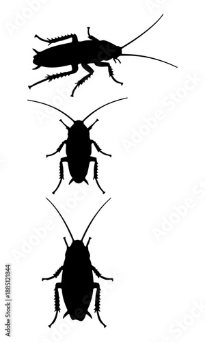 Cockroach vector, bird silhouette, flying bird art, flying bird vector design, bird silhouette isolated on white