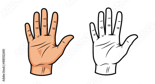 Illustrated Hand Comparison Realistic and Sketch Style Artistic Anatomy Study for Creative Education