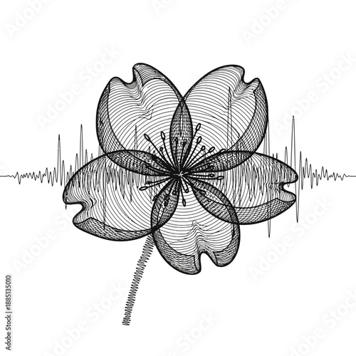 A delicate cherry blossom flower is superimposed over a seismograph reading, symbolizing the connection between nature and seismic activity.