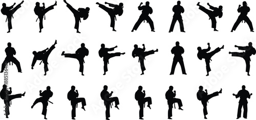 Black martial arts silhouettes collection featuring karate fighters in various action poses like kicking punching and defensive stances isolated on a clean white background (25 words)