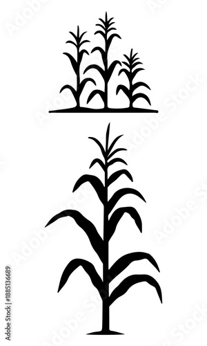 Corn plant silhouette illustration, corn field vector art, corn vector, corn art design