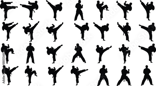 Black silhouettes of karate martial arts masters set including various high kicks defensive stances fighting poses and traditional kata movements isolated on white background (25 words)