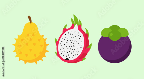 Vibrant tropical fruit illustration featuring whole durian, sliced dragon fruit, and mangosteen isolated on light green background, healthy food