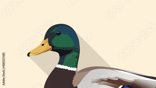 A close up, flat design illustration of a mallard duck's head and neck