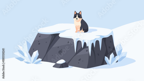 A black and white dog sits on a snowy rock formation with ice crystals
