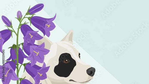 A charming dog with a unique black patch sits beside purple bellflowers