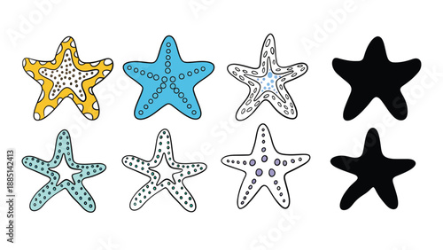 A colorful illustration of starfish in various shades and patterns