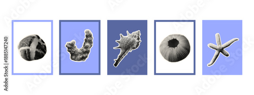Cards with seashells, corals, stones, sea ​​urchin shell for collages. Clams, conch and different seashell shapes. Paper cut stickers, contemporary art. Showcase underwater life. Vector collection.	