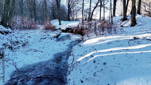 Frozen stream in Dobrovat Forest, Iasi County, Romania