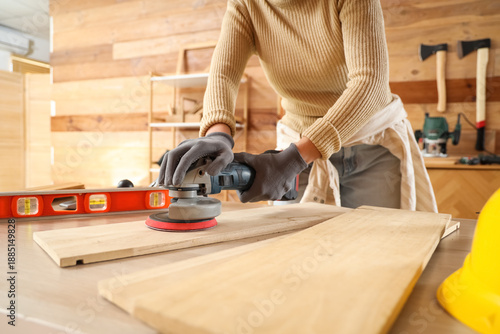 Young female carpenter poli...