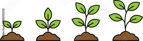 Stages of plant growth cycle vector illustration showing green sprout to young sapling for gardening and environment concept.