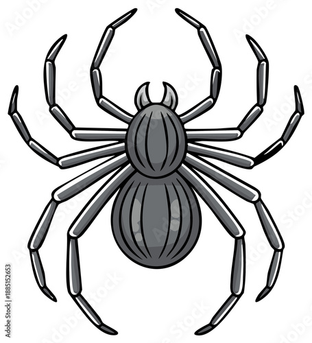 Detailed Vector Illustration of a Grey Spider with Eight Legs and Fangs