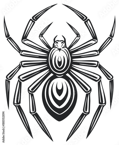 Graphic illustration of a detailed spider, showing intricate patterns and a bold design.