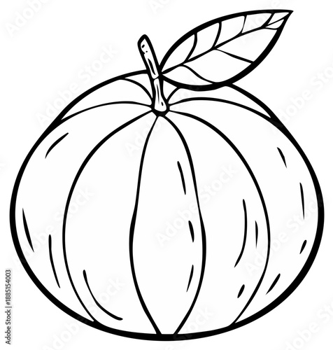 Outline drawing of a ripe orange fruit with a leaf illustration