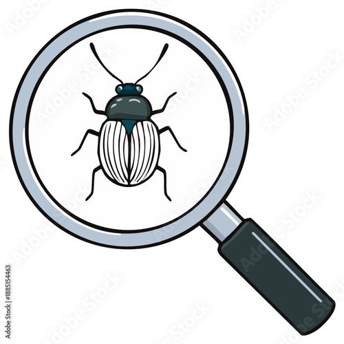 Bug magnified through a magnifying glass. Concept of research, insect, science, and investigation.