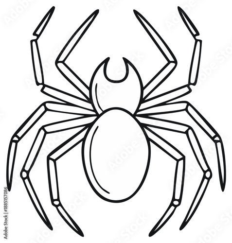 Spider outline illustration, black and white insect image.