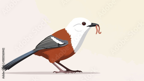 A small bird with white and red feathers holds a worm in its beak