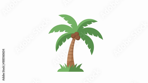 A stylized green palm tree with brown coconuts stands on a white background
