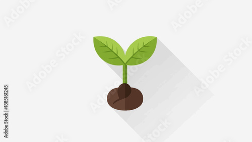 A new plant sprout emerges from a seed in rich soil