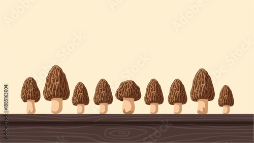 Wallpaper Mural A row of various sizes of morel mushrooms on a wooden surface Torontodigital.ca