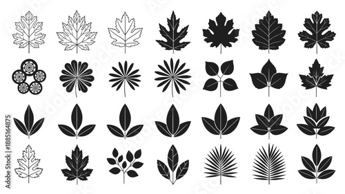 lack silhouettes and outlines of various tree leaves including maple, oak, and palm, isolated on white background, botanical nature collection,