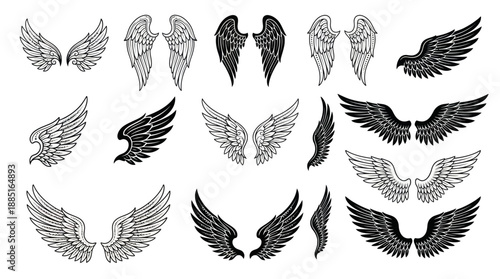 Set of grayscale wing illustrations featuring angel, bird, and decorative wing designs in black, white, and gray for branding, logos, and design projects